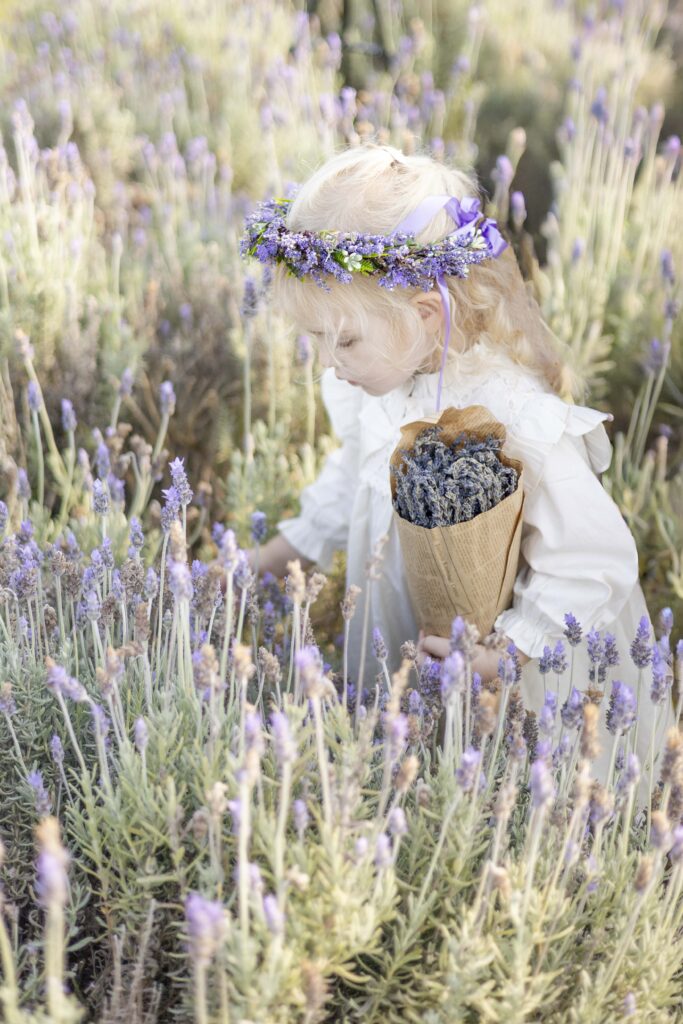 Photoshoot at lavender field