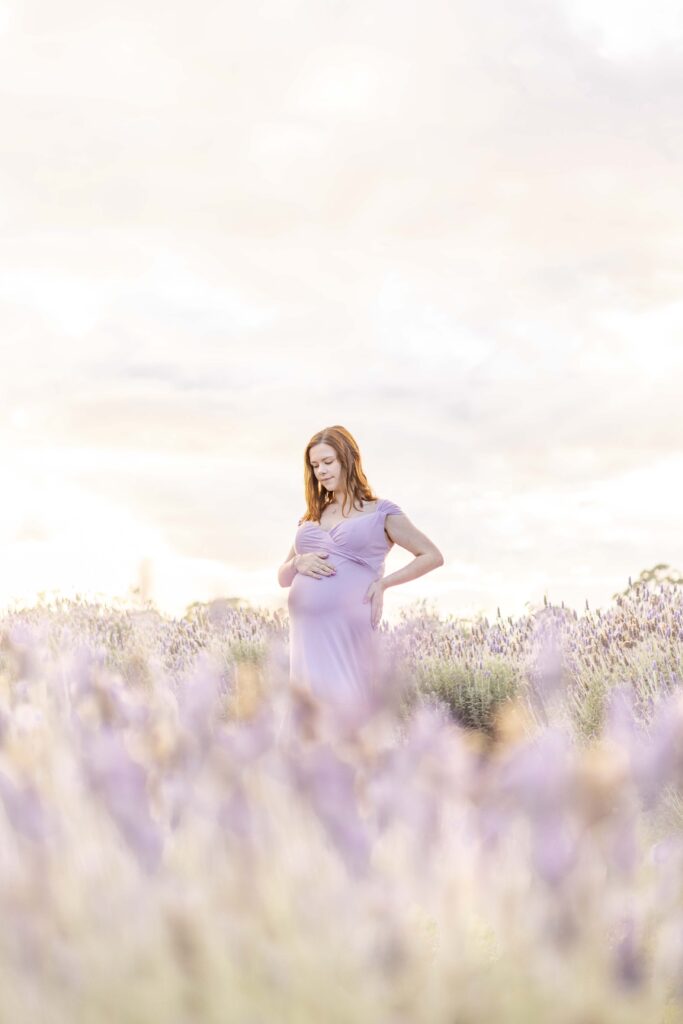 Maternity Photoshoot at lavender fields Brisbane