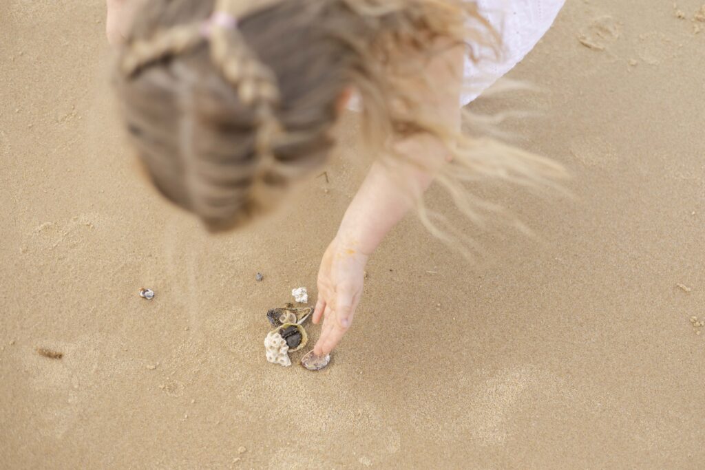 Little girl collecting shells on the beach
